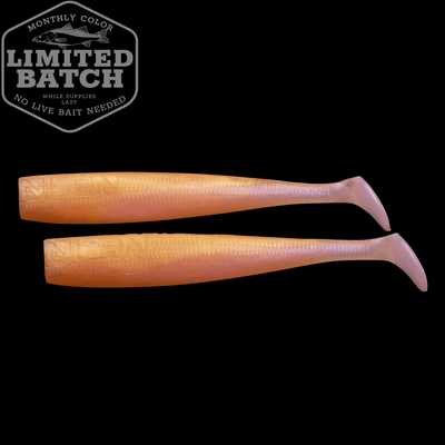 LTD - 8" Baits